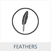 feathers